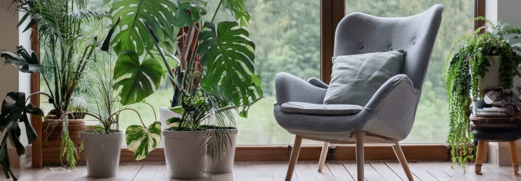 Plants in Decoration How to Choose and Where to Place Them